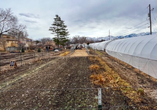 The Resilient Farmers of Salt Lake County, Utah