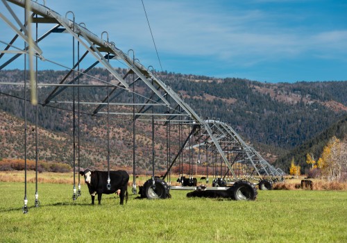 The Struggles of Farming in Salt Lake County, Utah