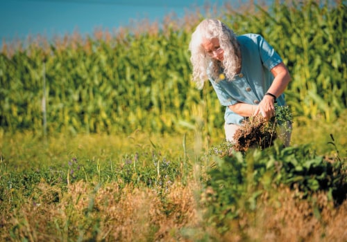 The Importance of Education and Training for Farmers in Salt Lake County, Utah