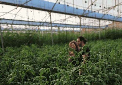 The Impact of Technology on Farming in Salt Lake County, Utah