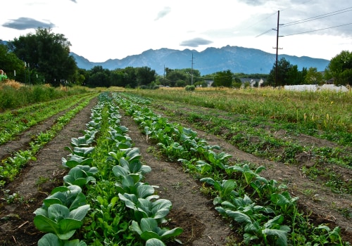 Sustainable Farming: Balancing Productivity and Environmental Responsibility in Salt Lake County, Utah