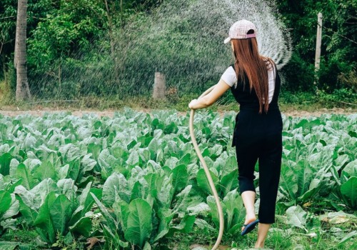 The Vital Role of Women in Farming: Empowering the Future of Agriculture in Salt Lake County, Utah