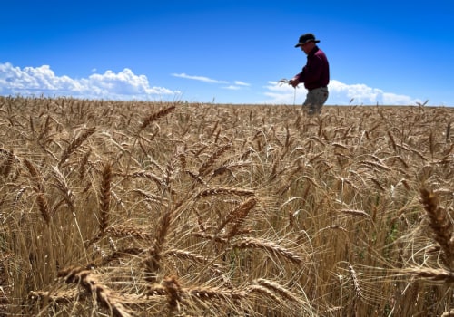 The Changing Landscape of Farming Income in Salt Lake County, Utah
