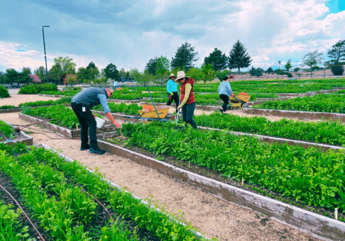 The Benefits of Diversifying Crops and Products for Farmers in Salt Lake County, Utah